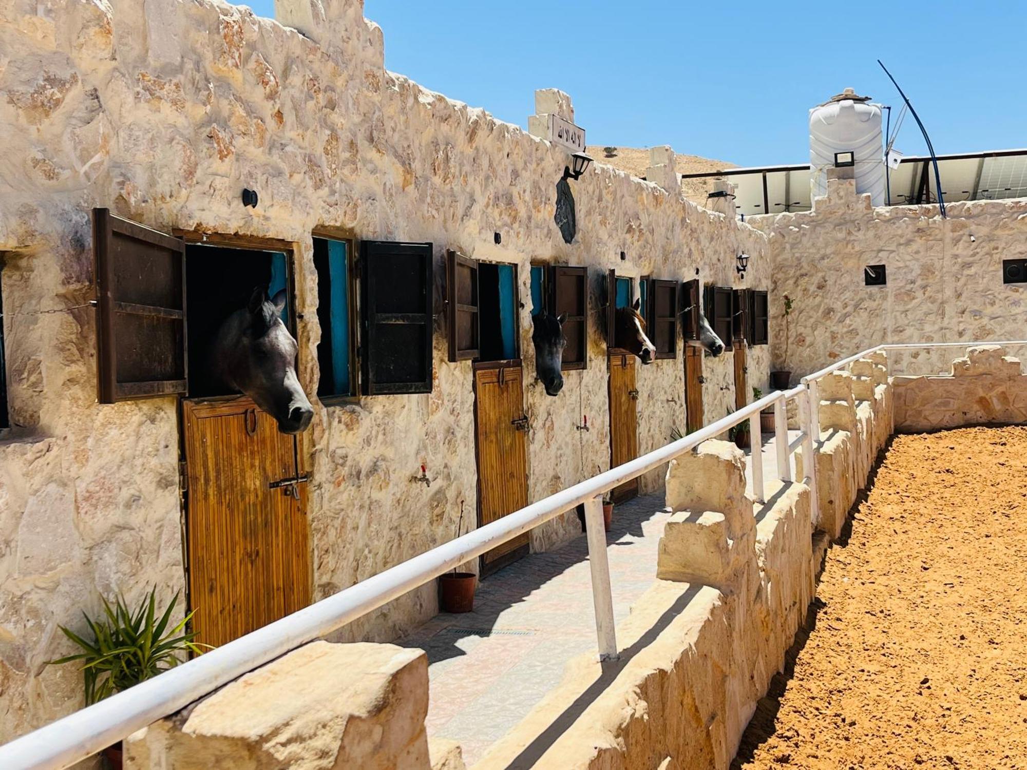 Petra Royal Ranch Bed & Breakfast Wadi Musa Dış mekan fotoğraf