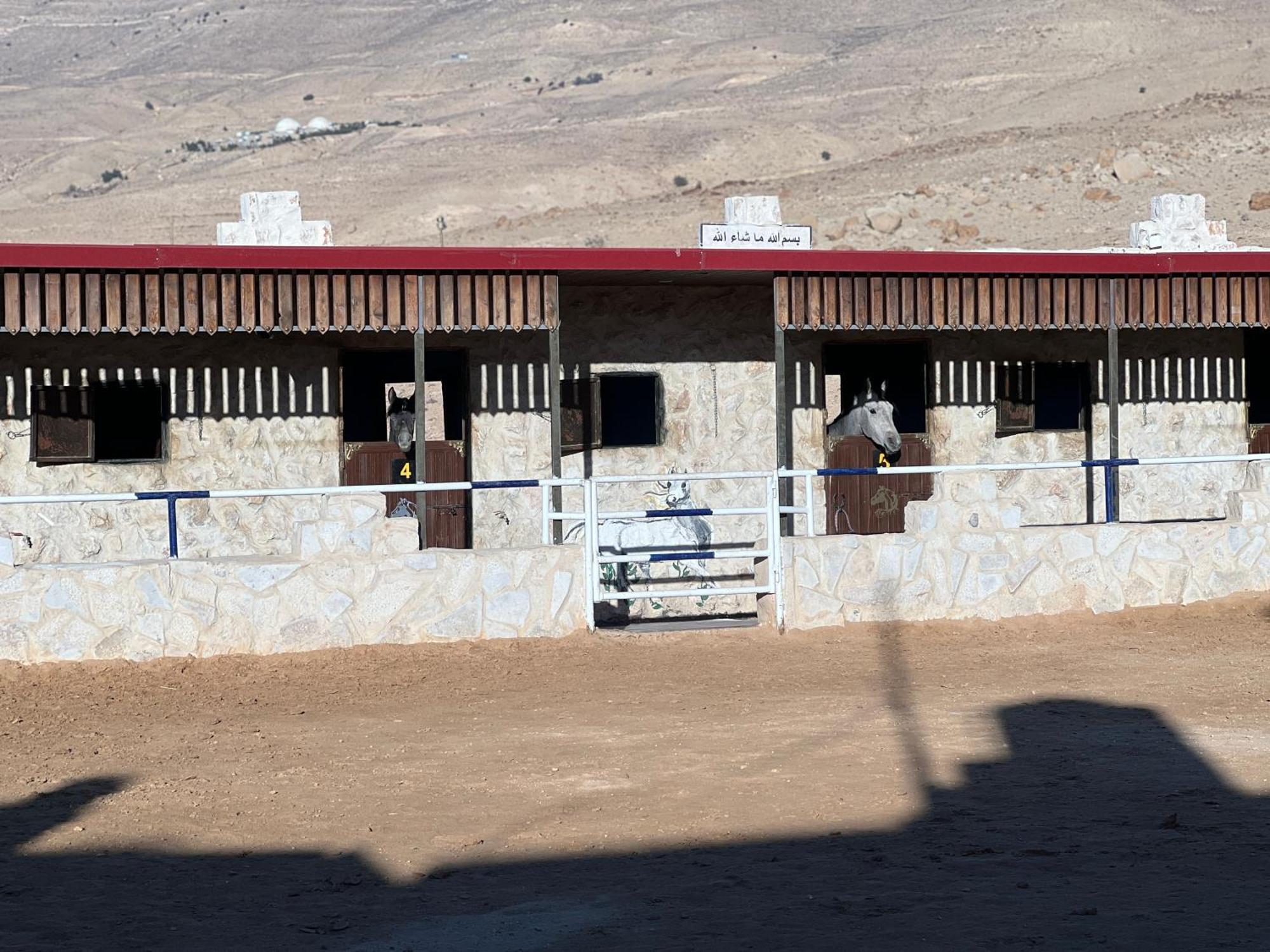Petra Royal Ranch Bed & Breakfast Wadi Musa Dış mekan fotoğraf